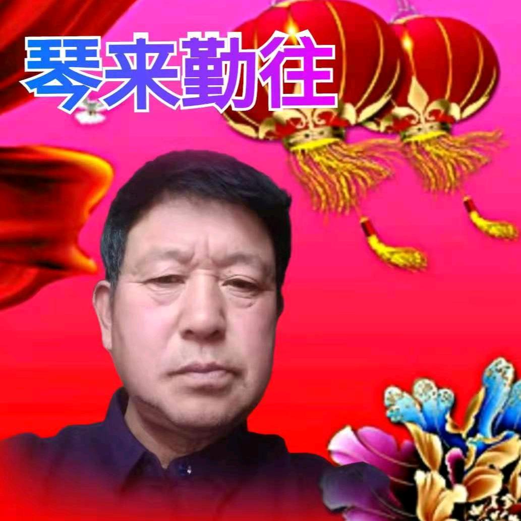 琴来勤往