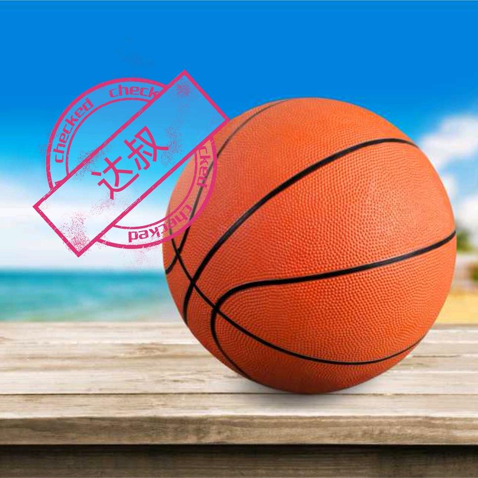 2K 达叔(美职篮全明星)