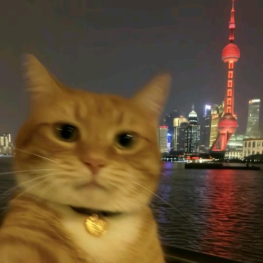 星期八