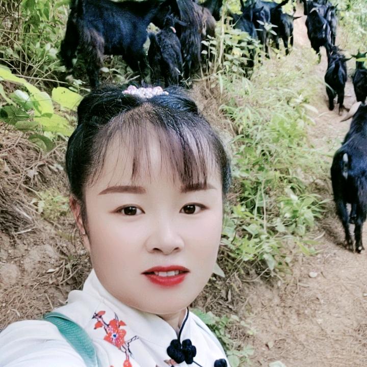 云南养羊妹