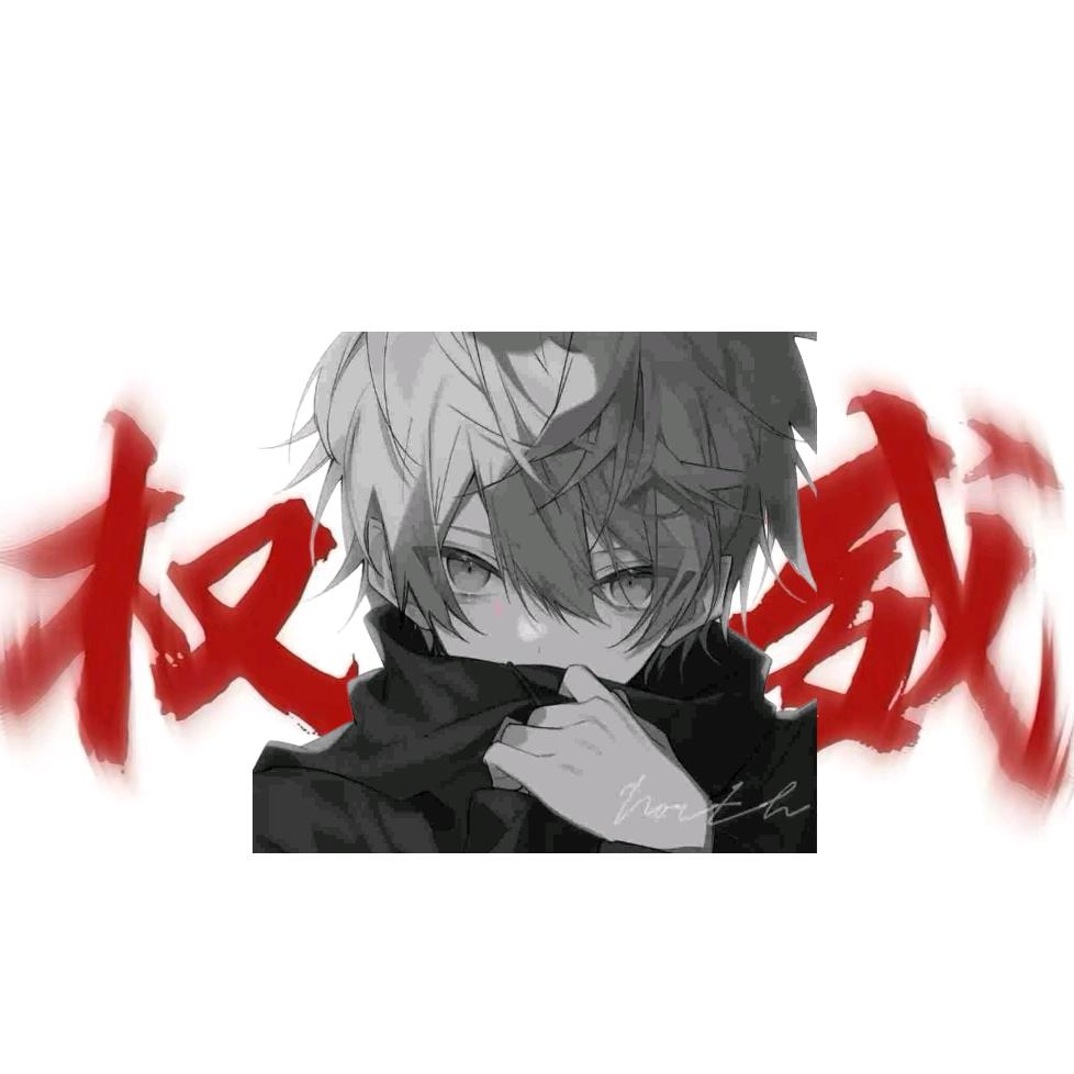 小李解说