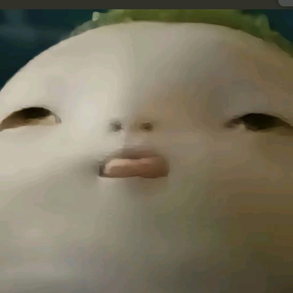 邪恶的摇粒绒
