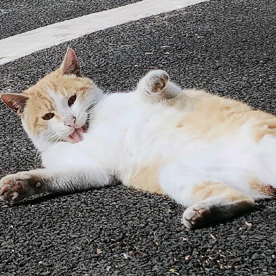 南阳😝(求推荐)