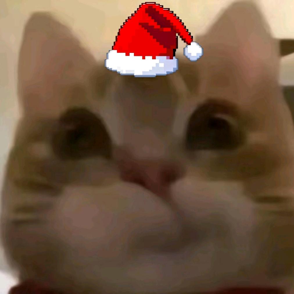 满地王八我壳最绿🔰