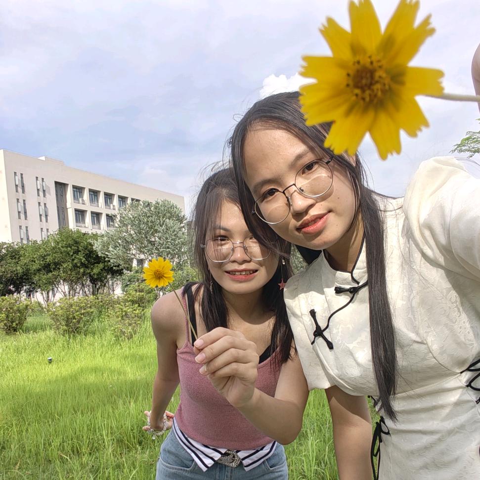 维一爱安利（共创版）