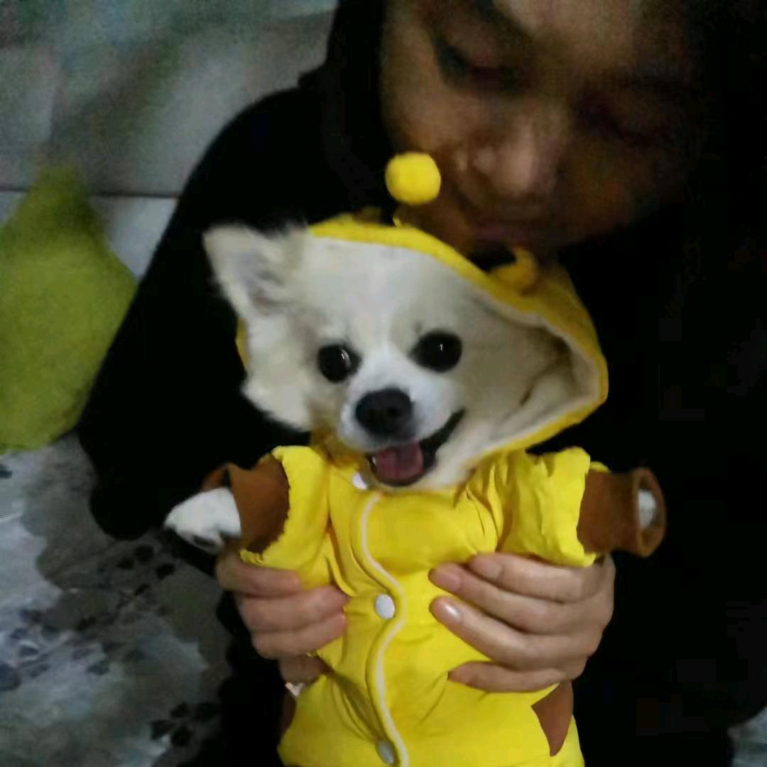 诚