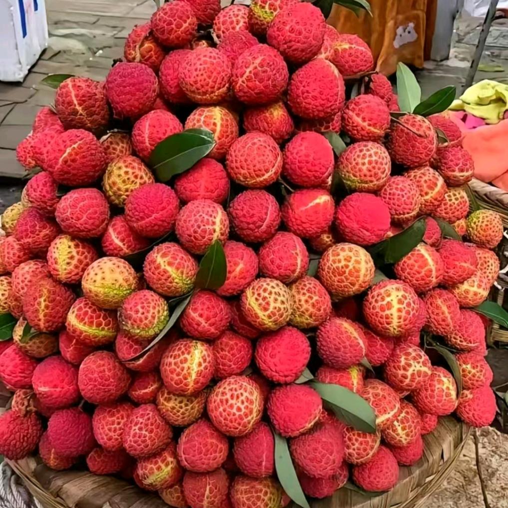 粤西农产搬运部