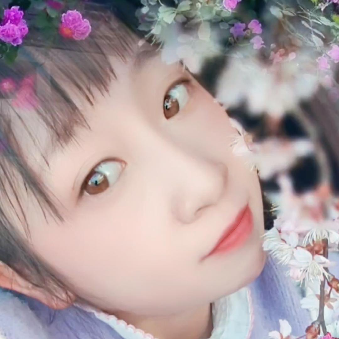 满城雪