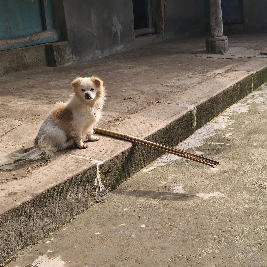 来自蜀地的阿豪