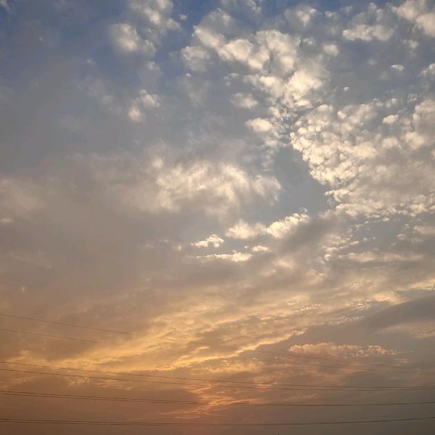 李鹏鹤诚信车队（红砖、水泥）