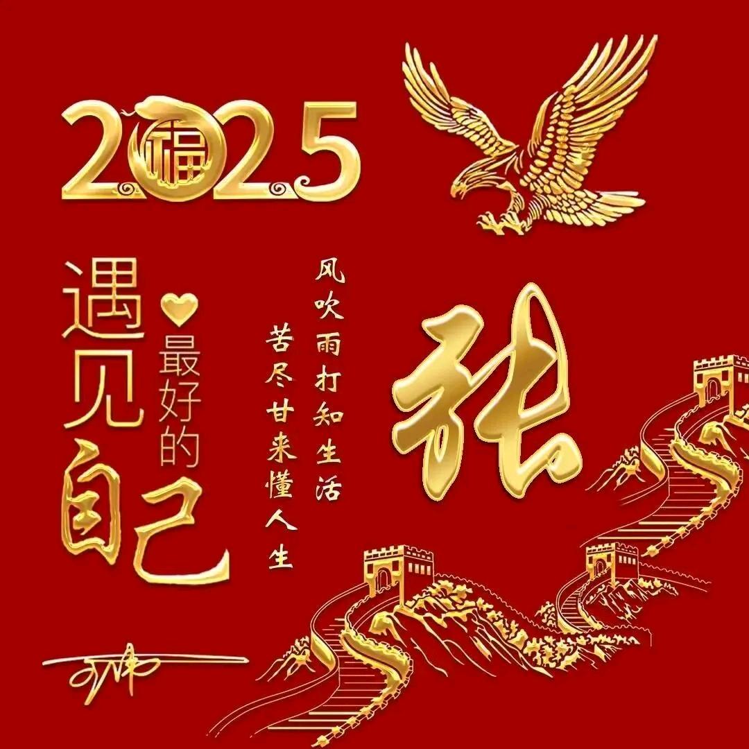 爱心💓公益《内丘县自媒体协会》羊毛丁