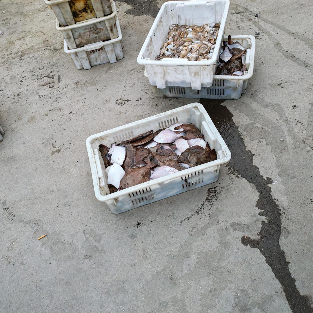 阳光小男孩儿。王总