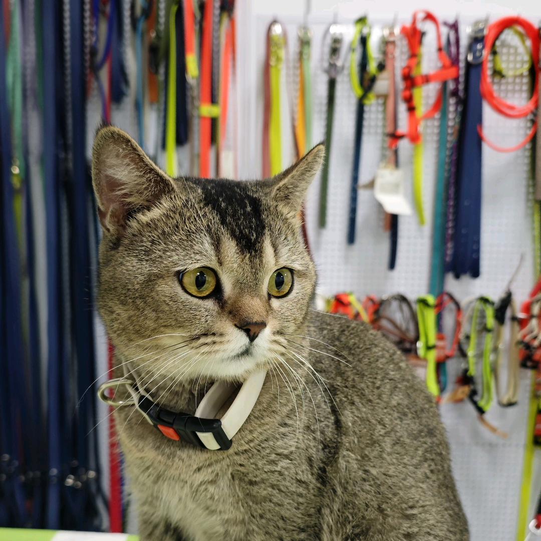 诗想橡塑工厂店