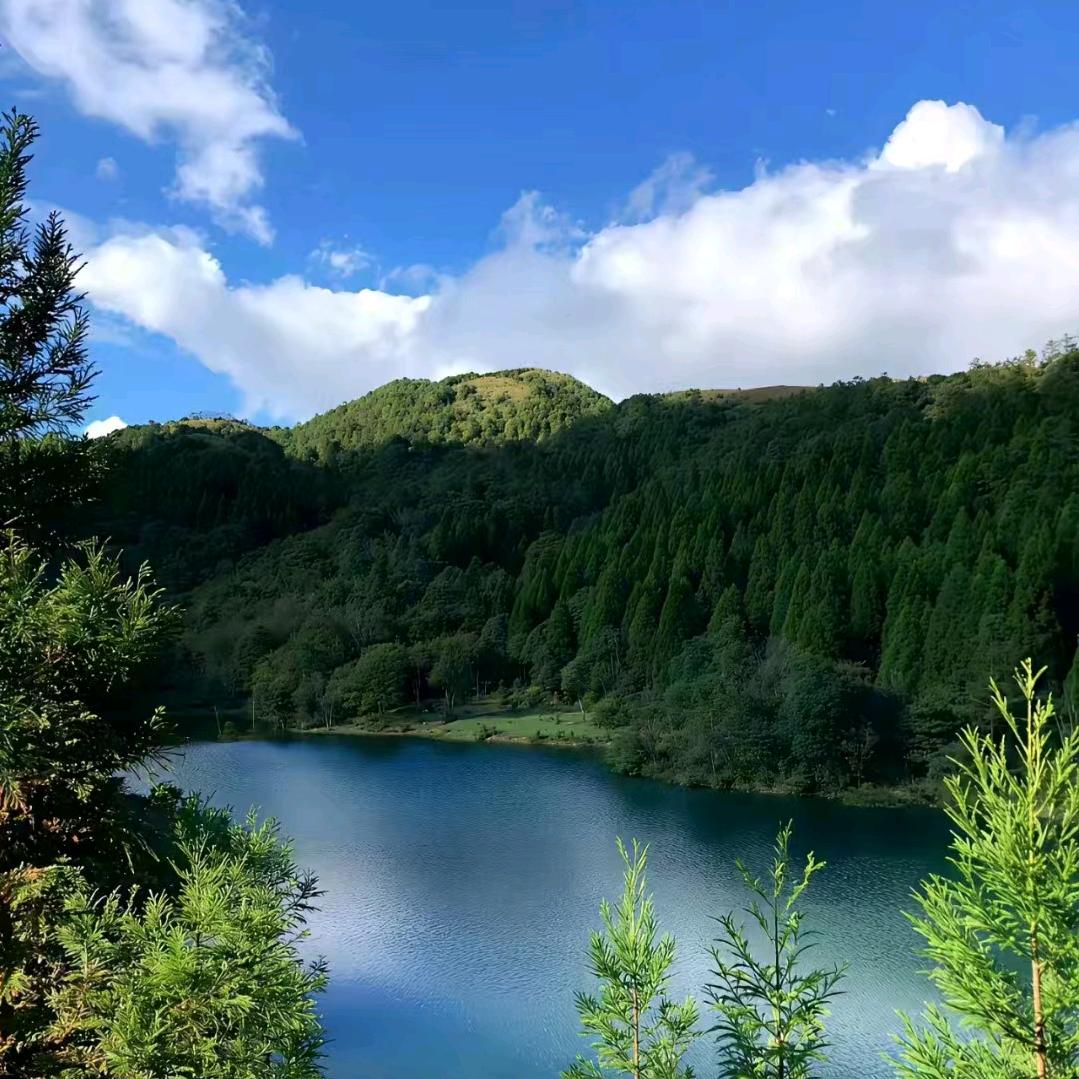 💐🌾如风🌾💐
