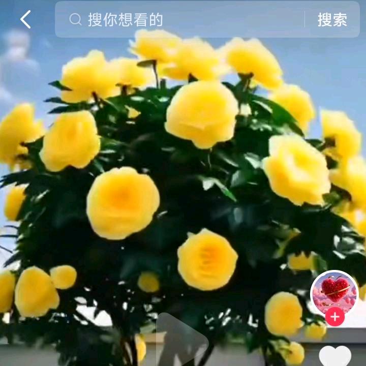 陕西西安渭南