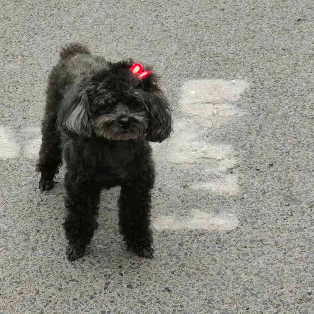 仙人掌🌵🌵🌵🌵🌵🌵