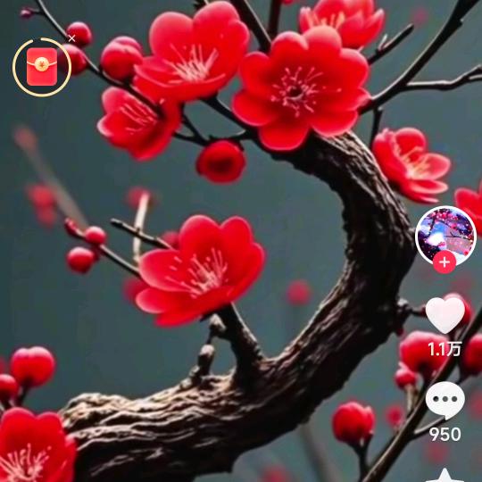 琴韵