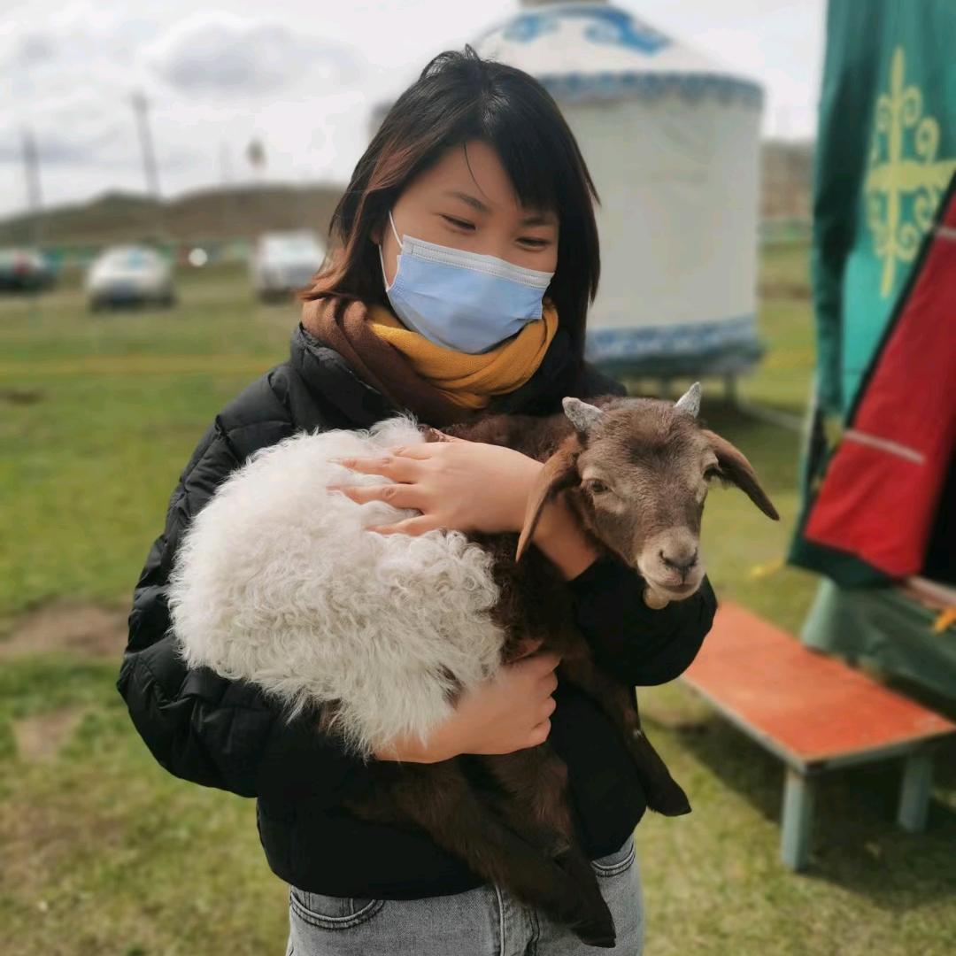 向阳而生的小杨哈