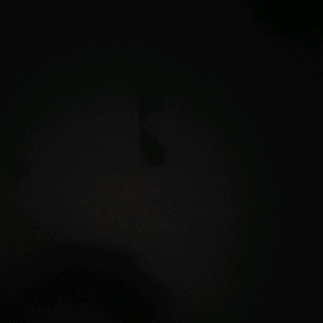 （躺平版）