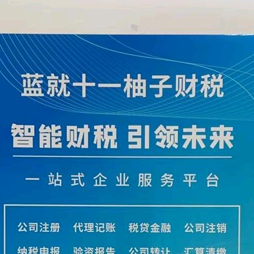 十一柚子乐会计