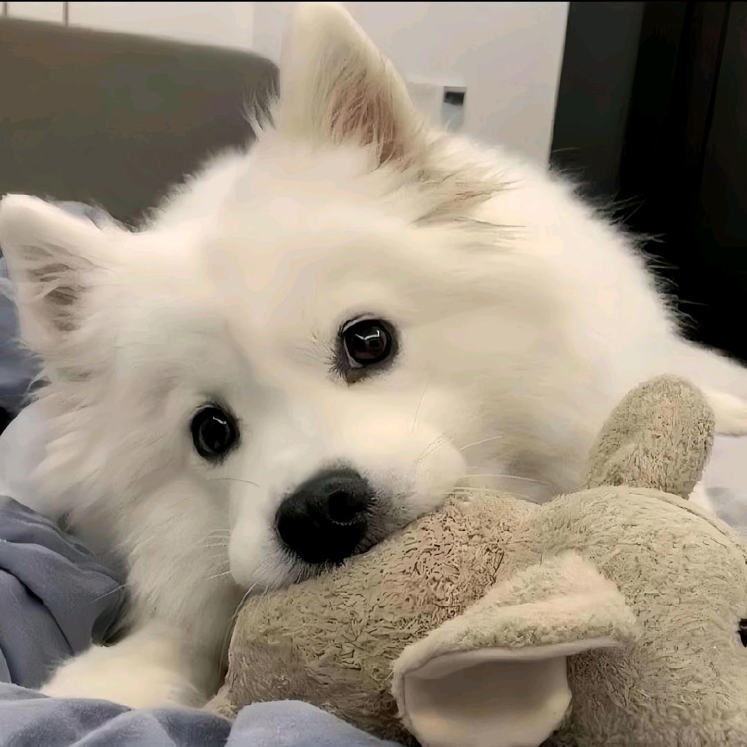 po。。