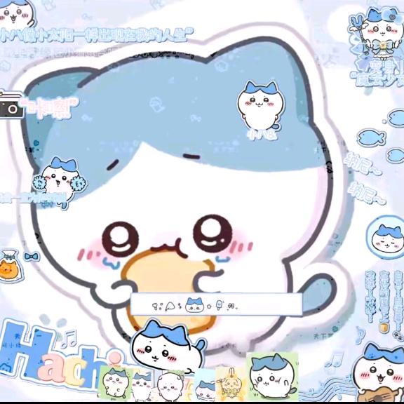 山海关静心