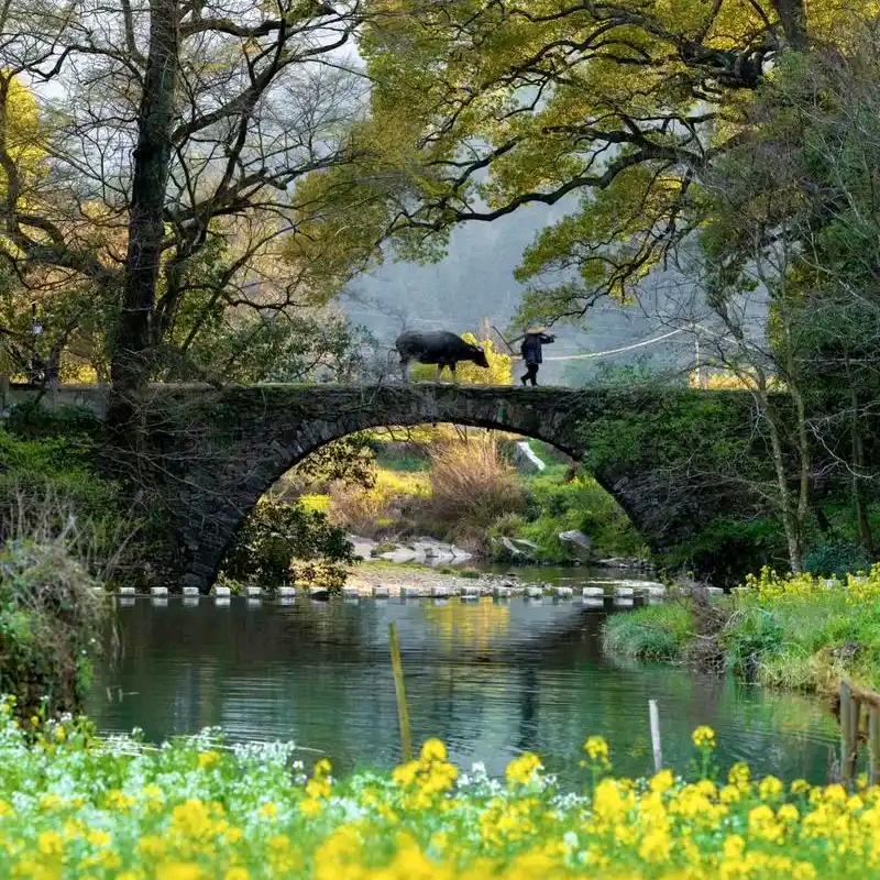 水性漆，何仁飞，