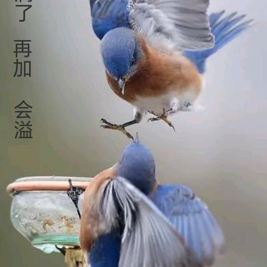 星河