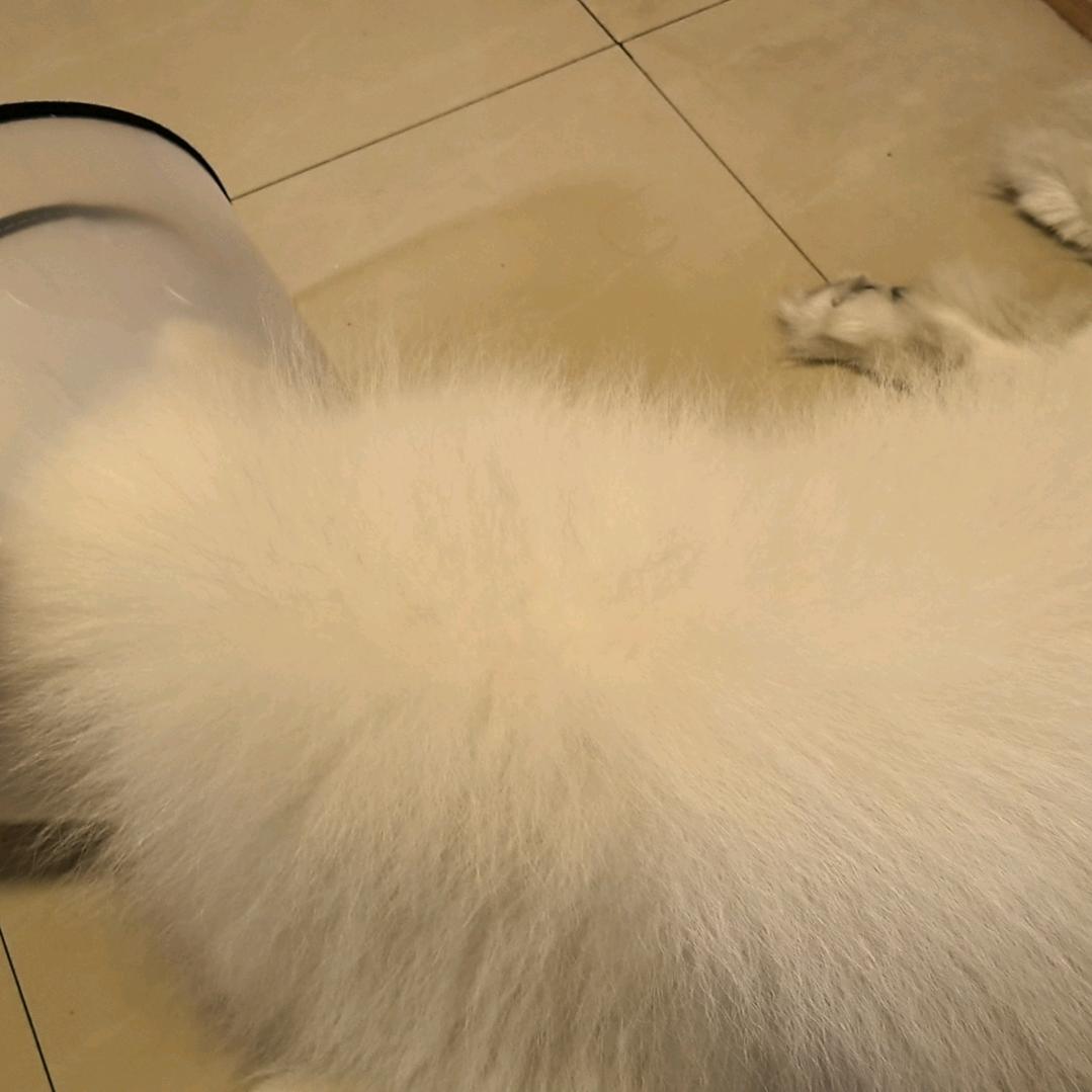 可爱的人头像