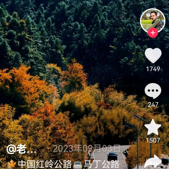 真诚相待