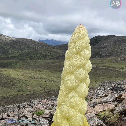 独行千里