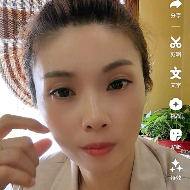 凤姐2号