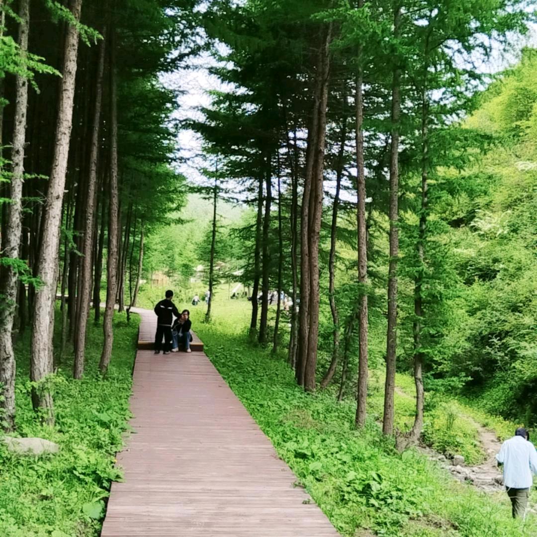 顺其自然。