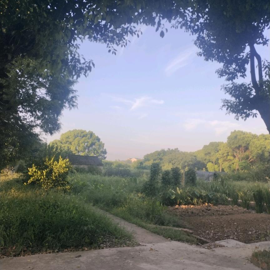 嘴上乐心里不乐