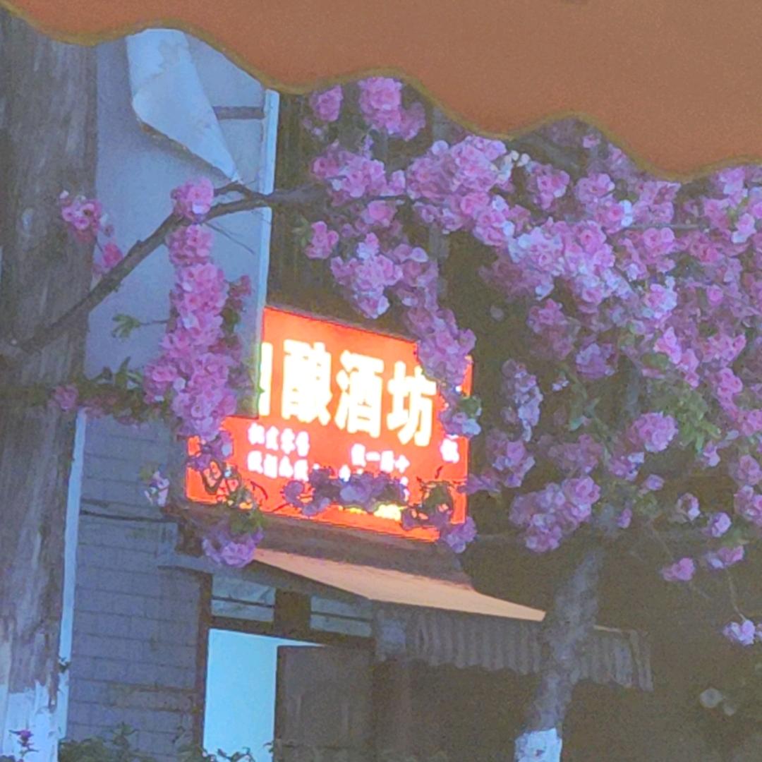 ………