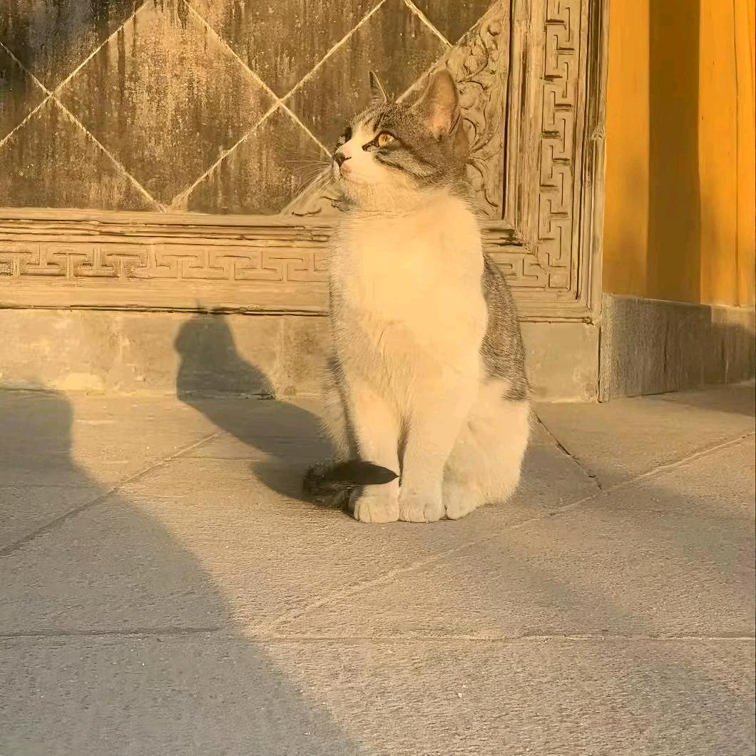 云中