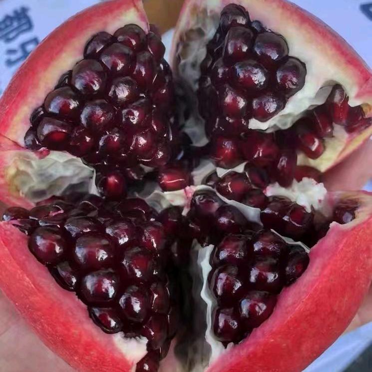 哈尔滨老六精品水果批发