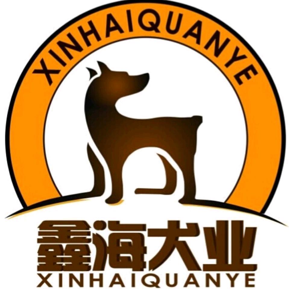 鑫海犬业（直播下午15:30）