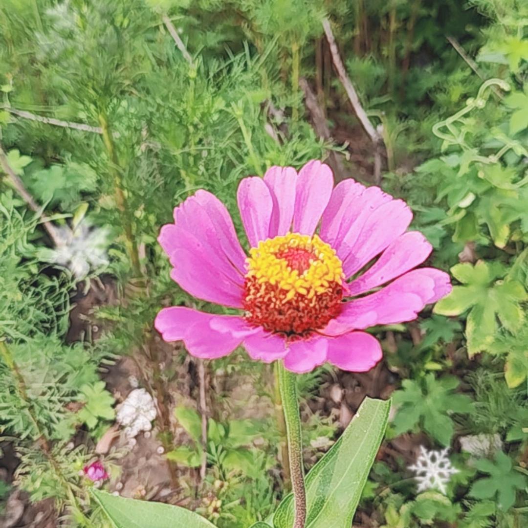 过好每一天