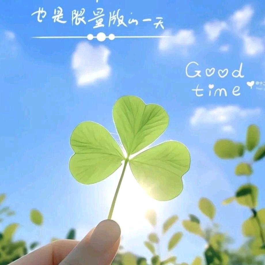 千岛湖唐糖