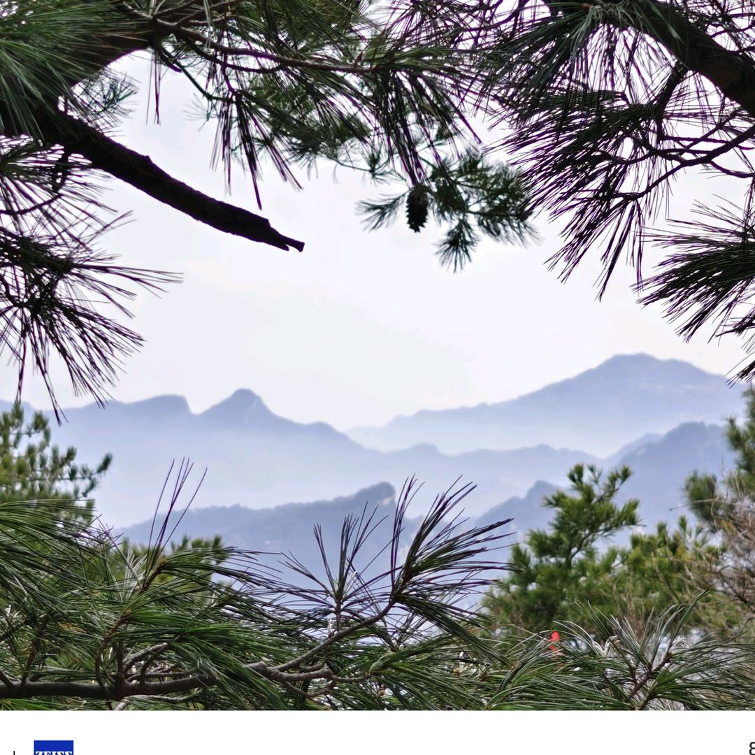 曲靖振越空翻特技