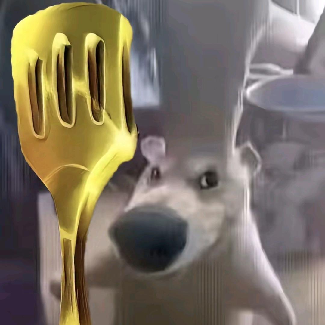 西安田径林教练（招生中）