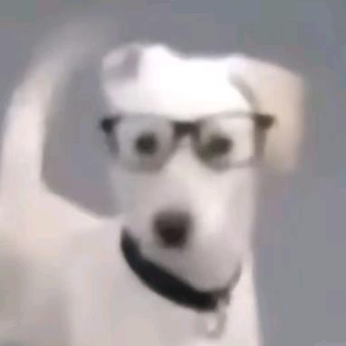 和ddl赛跑