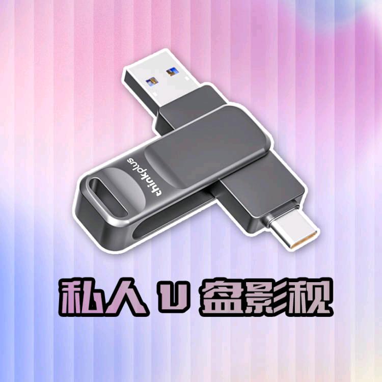 U盘影视定制