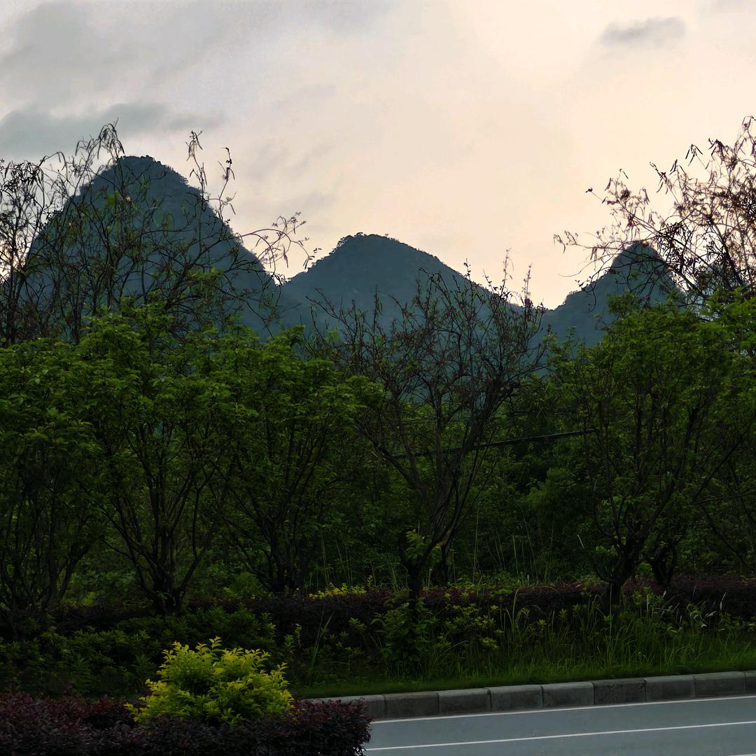 顺顺,