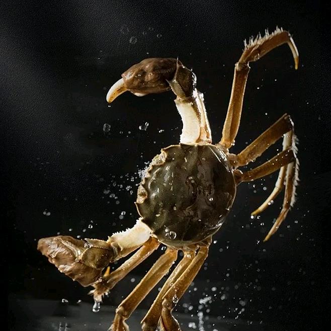 大螃蟹售卖