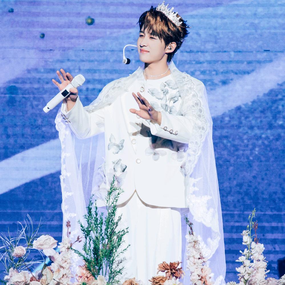 企鹅不耐热卓沅