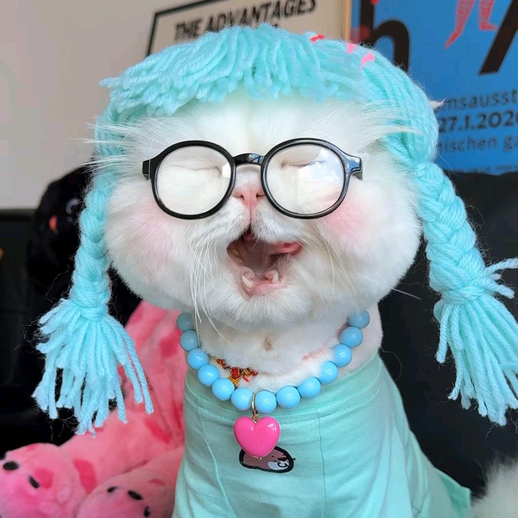 点男模点到死对头的老公在当0