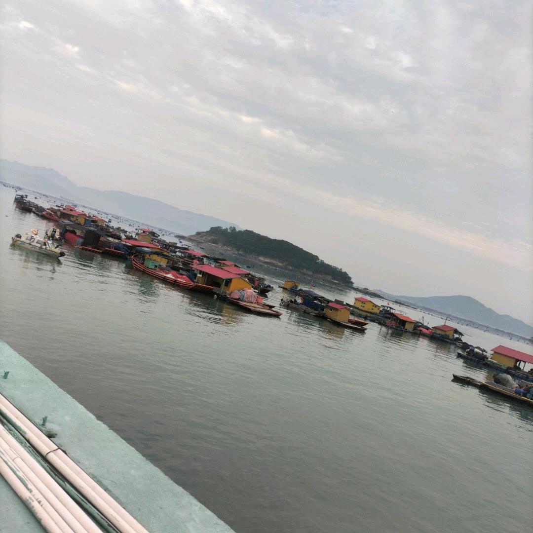 莲莲姐姐《牛牛85》