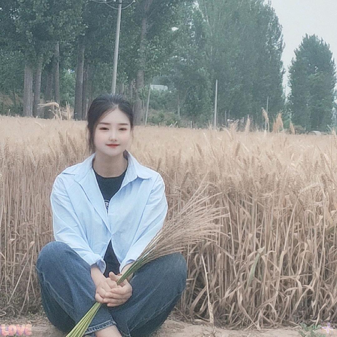 💞南风知我意💞